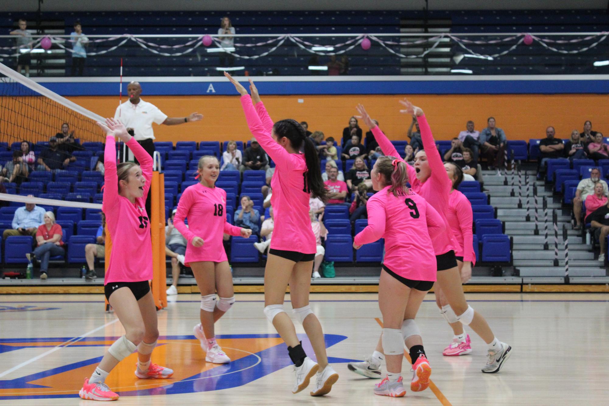 Pink Out Volleyball at Chester