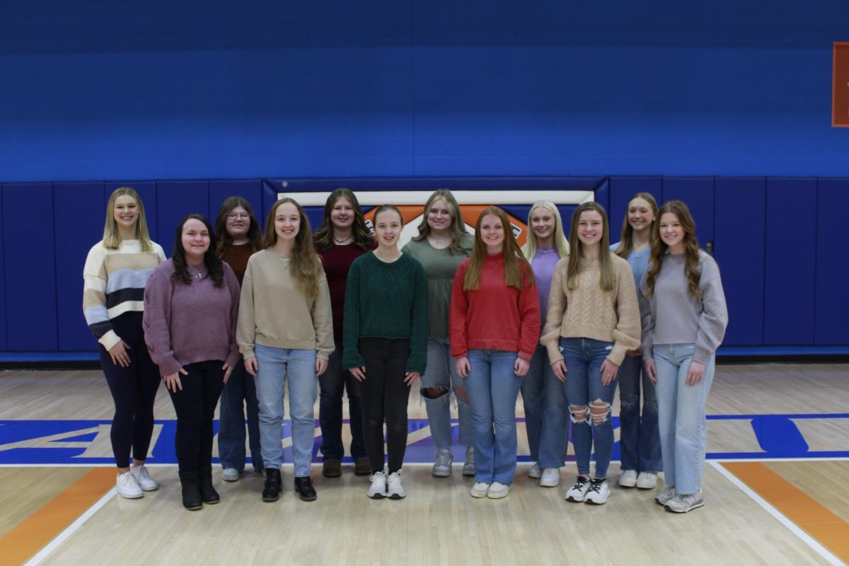 Front Row Left to RIght: Paige Kolweier, Sarah Cook, Laura Cook, Claire Dulle, Sidney Charles, and Madi Epplin
Back Row Left to Right: Jenna Hackstadt, Katie Forgy, Madison Gogolek, Makenna Gabrovic, Caleigh Friedrich, and Alyssa Statler